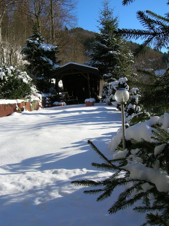 Aktivpension Regenbogen Willingen  Esterno foto